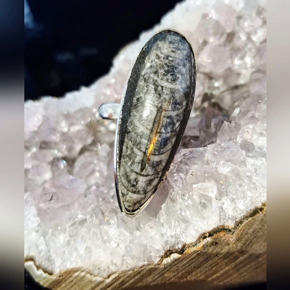 💚2 for $40💚NWOT Natural Orthoceras Fossilized Stone .925 Sterling Overlay Ring - Picture 6 of 12
